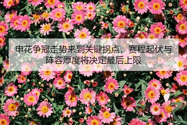 申花争冠走势来到关键拐点，赛程起伏与阵容厚度将决定最后上限
