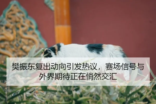 fan-zhen-dong-fu-chu-dong-xiang-yin-fa-re-yi-sai-chang-xin-hao-yu-wai-jie-qi-dai-zheng-zai-qiao-ran-jiao-hui-2-199.jpg